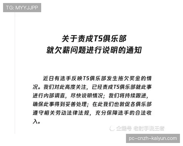 职业比赛经济系统深度解析 职业比赛经济系统深度解析